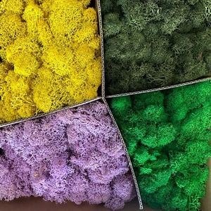 MAGICOZY. Preserved moss mix. Four colors. For. Green, App. Green, Yellow, Purpl